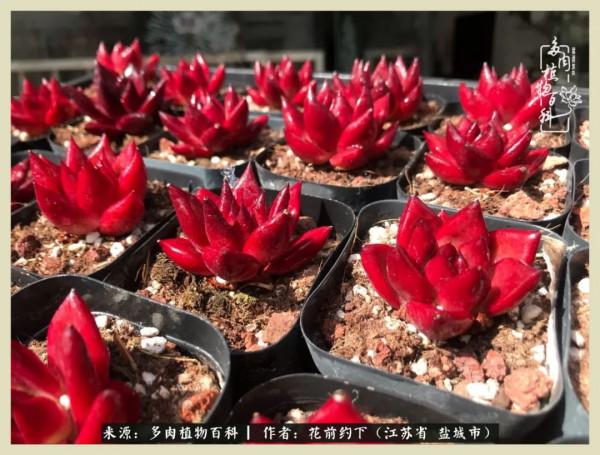 你儘管善良,福報都在路上 你儘管善良,福報都在路上