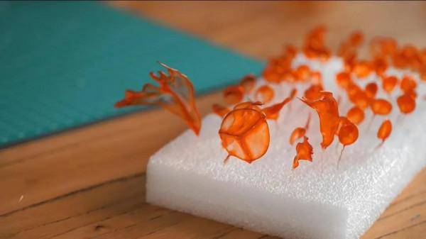 手工DIY丨值得一試的小手工（琥珀金魚篇）