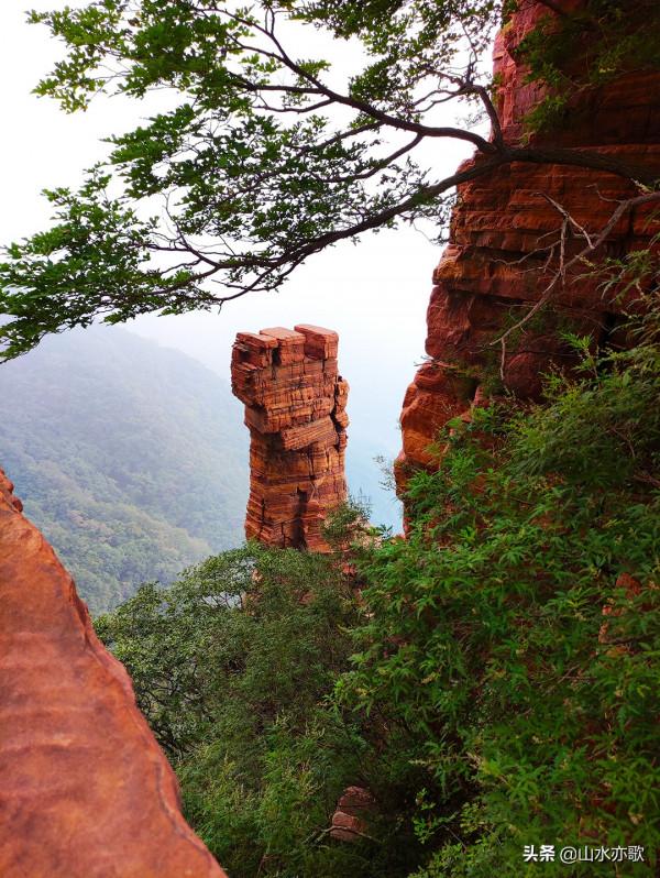 石家莊井陘錦山，雲鎖群山、霧漫叢林，雲橋飛渡，一顆橡果落下來