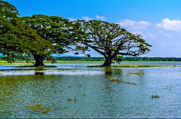 斯里蘭卡之旅(17)蒂瑟默哈拉默 斯里蘭卡之旅(17)蒂瑟默哈拉默
