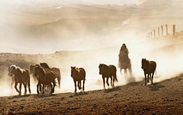 青海與甘肅交界，有座寶藏小縣城，幾乎包攬了兩地最美的風景