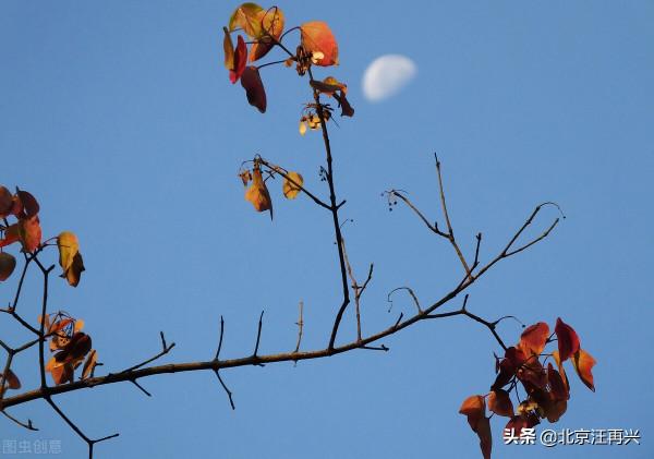 立冬日，《笠翁對韻》裡的冬篇有多難背