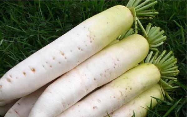 冬天面板乾燥別光喝水,6種“高維C”食物多吃,緩解冬季面板問題 冬天面板乾燥別光喝水,6種“高維C”食物多吃,緩解冬季面板問題