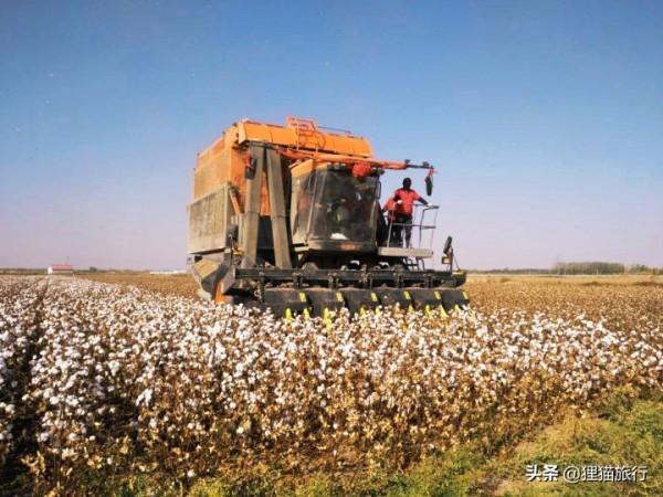 新疆有一個叫芳草湖的地方,有6萬多人口,位於呼圖壁河下游 新疆有一個叫芳草湖的地方,有6萬多人口,位於呼圖壁河下游
