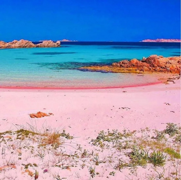 82歲老人孤島獨居30年,被迫回到群體生活,重逢舊情人 82歲老人孤島獨居30年,被迫回到群體生活,重逢舊情人