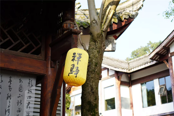 心旅禪行丨暖陽相伴，尋覓禪意中的“一抹紅”