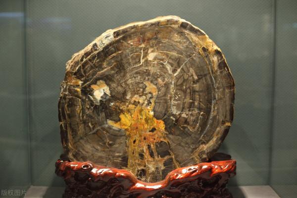 浙江遊記 | 藏在紹興佛寺裡的北緯30度“神秘遺蹟”