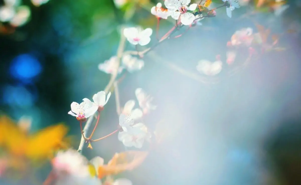 關係再好,也要注意“分寸”,一不小心就會得罪人 關係再好,也要注意“分寸”,一不小心就會得罪人