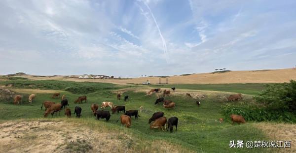 身處江南的江西，竟然還隱藏著這麼一大片沙漠