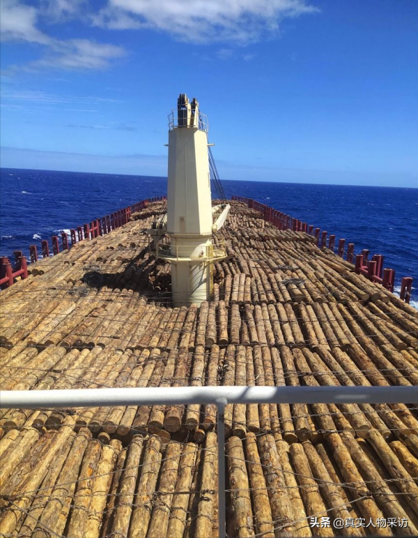 我,90後海員,航行5萬海里,下船後回家鄉放羊,賺得比海員多 我,90後海員,航行5萬海里,下船後回家鄉放羊,賺得比海員多