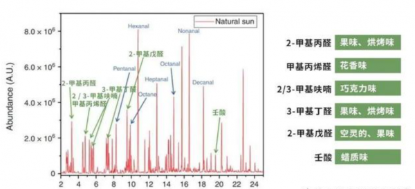 曬被子後有“太陽味”,是因為蟎蟲被烤焦了?科學家:太陽的功勞 曬被子後有“太陽味”,是因為蟎蟲被烤焦了?科學家:太陽的功勞