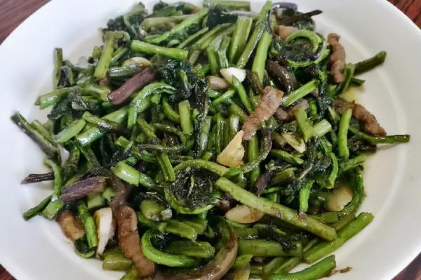 “猴腿菜”,價值珍貴,涼拌後下酒太絕了 “猴腿菜”,價值珍貴,涼拌後下酒太絕了