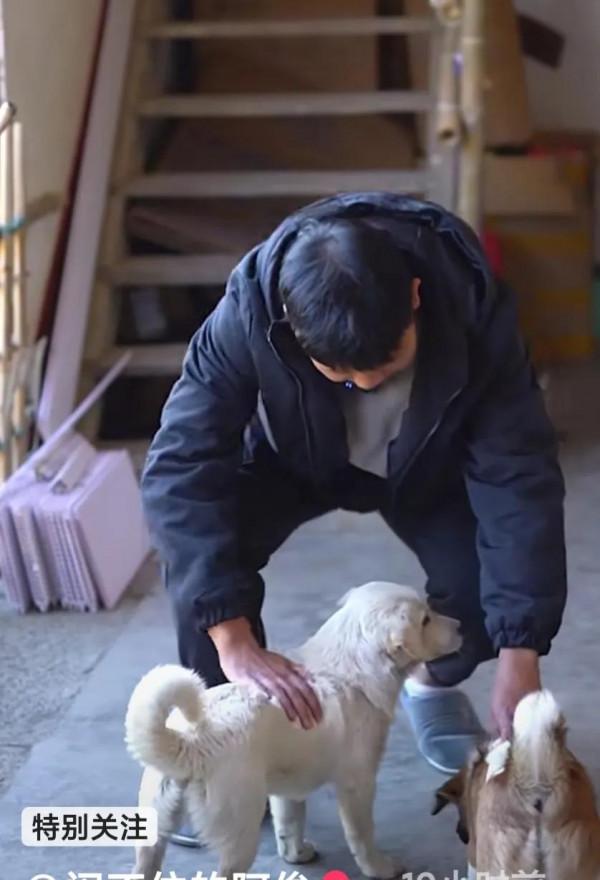 阿俊的二哈小年年跑丟了,大家幫忙找找 阿俊的二哈小年年跑丟了,大家幫忙找找