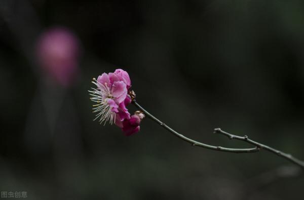 58歲阿姨坦言：比孤獨更難忍受的是，天天見面，卻彼此厭倦