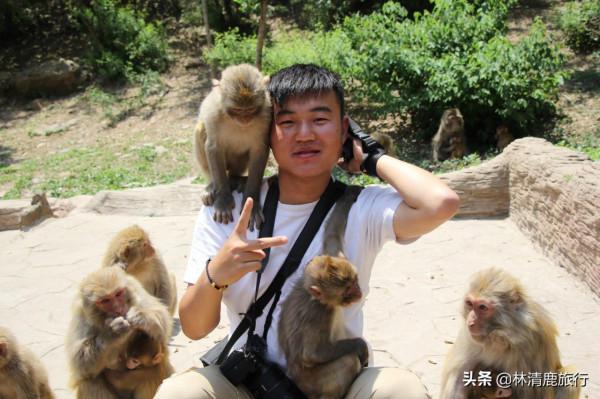河南與山西交界,有座冷門又好玩的猴山,藏有3800只野生獼猴 河南與山西交界,有座冷門又好玩的猴山,藏有3800只野生獼猴