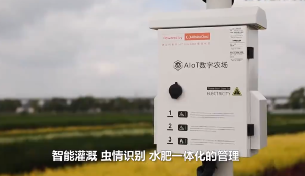 AI居然還能這麼用?江蘇老人用AI技術管理千畝稻田 AI居然還能這麼用?江蘇老人用AI技術管理千畝稻田