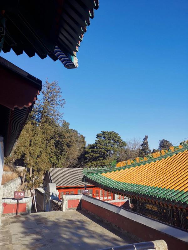 香山公園內香山寺遊玩的人相對較少,老鐵們走起 香山公園內香山寺遊玩的人相對較少,老鐵們走起