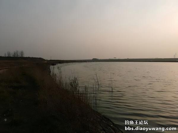 冬釣好收穫，全靠釣魚王