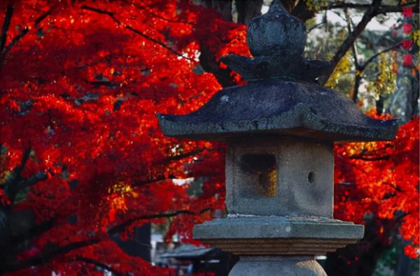 詩僧筆下的秋天，不僅有最美的秋色，還有濃濃禪意，令人回味無窮