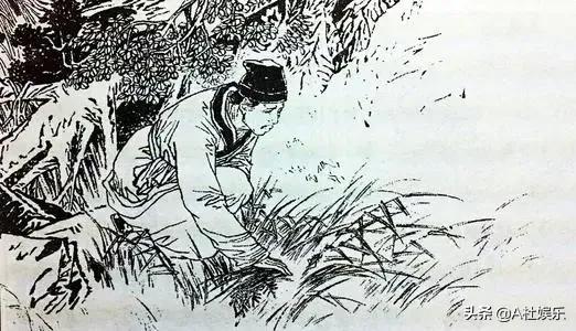 聊齋志異之三十八《促織》 聊齋志異之三十八《促織》