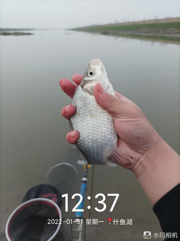 新年新氣象，虎年首釣完美爆護