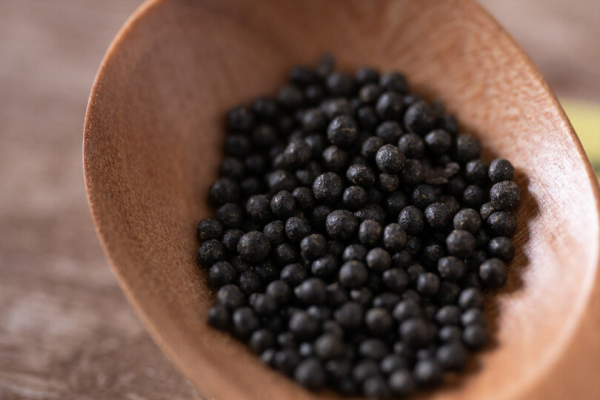 補腎要慎重，地黃家族有10個兄弟姐妹，別選錯了