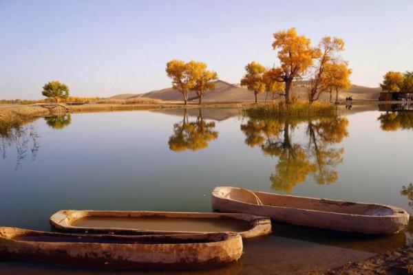 你想要來的新疆2022年是這樣的