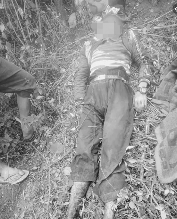 緬北臘戌父子外出砍竹子發生悲劇，父親當場身亡