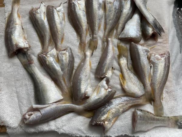 調油炸脆皮糊時，多加一樣料，不管炸什麼都酥脆，涼了不回軟