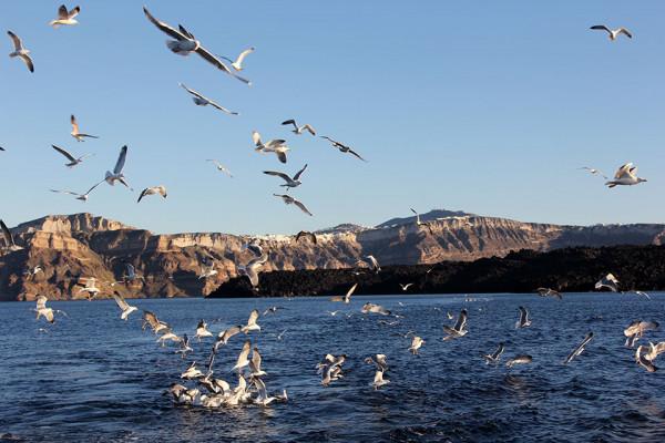 希臘聖托里尼之旅