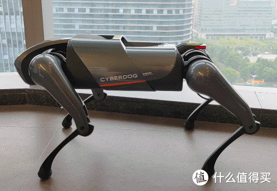 人生中養的第一條狗是機器狗！小米 CyberDog“鐵蛋”初體驗