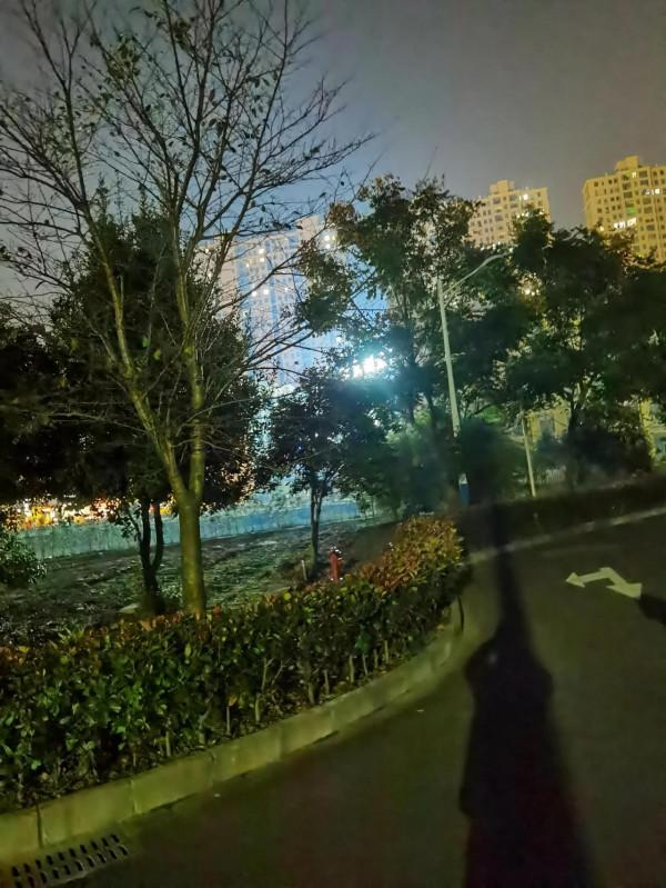 金桂飄香，思念雙親