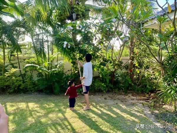 我們又雙叒叕搬家了！500㎡泰國深山別墅，清風徐來鳥語花香