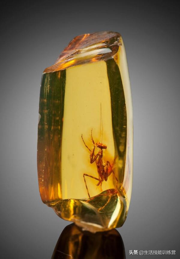 35張圖片帶我們領略大自然的狂野和美麗 35張圖片帶我們領略大自然的狂野和美麗