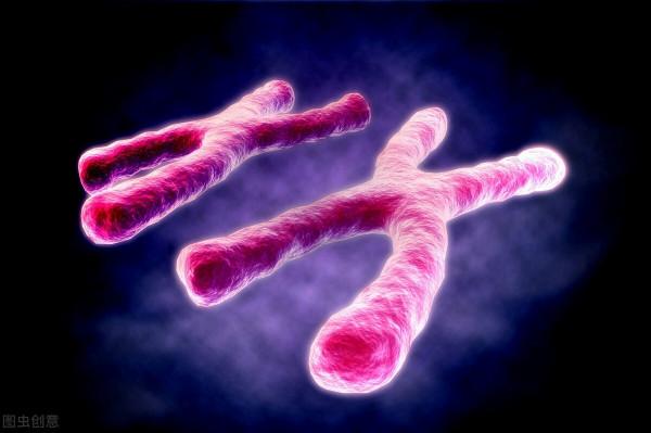 為什麼和黑人生的孩子基本都是黑色的？黑種人的基因到底有多強？