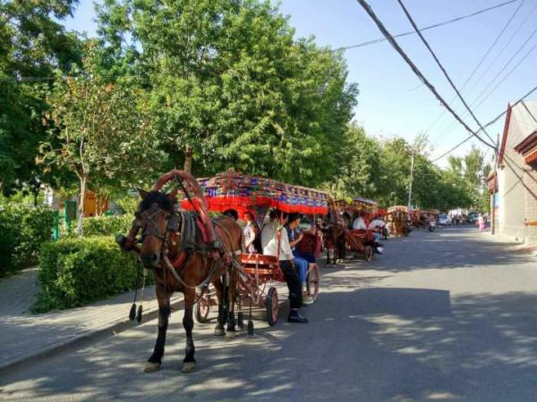 你想要來的新疆2022年是這樣的