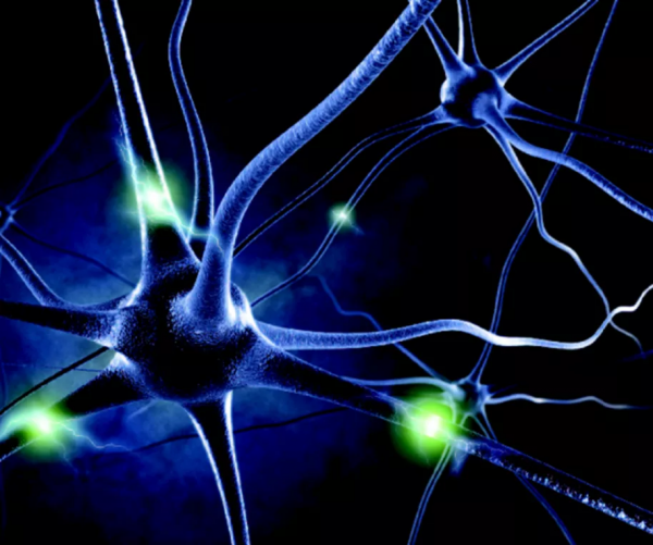 光纖記錄詳解，一文帶你詳細瞭解光纖記錄實驗