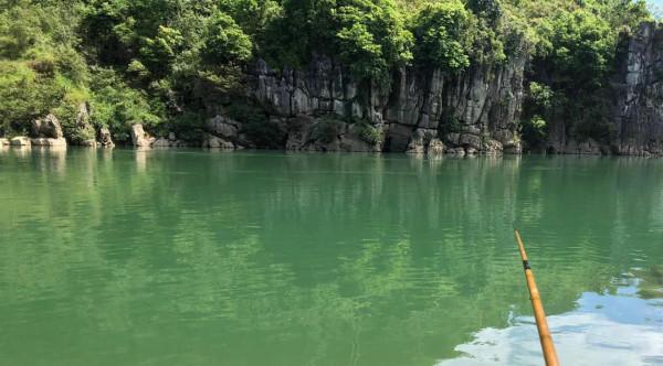 廣西男子釣起“西江奇魚”，民間稱為“青衣魚”，形似巨型麥穗