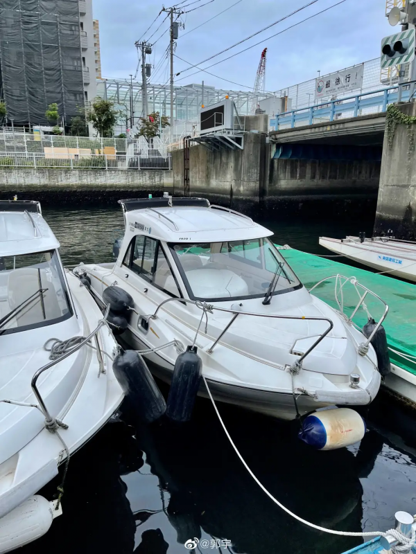 上過熱搜、28歲財務自由的程式設計師郭宇，退休後這一年他更自由了嗎