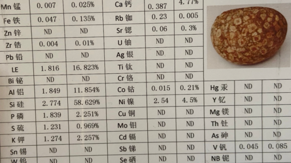 各類隕石及它的化學元素分析表