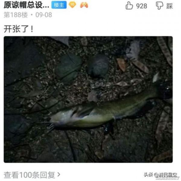 釣魚吧老哥,除了釣魚啥都會 釣魚吧老哥,除了釣魚啥都會