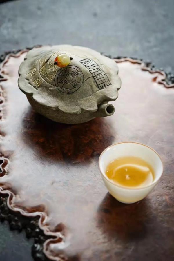 龜殼，逼真嗎？