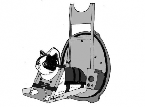 第一隻進入太空的貓，承受9.5倍重力加速度，太空遨遊13分鐘