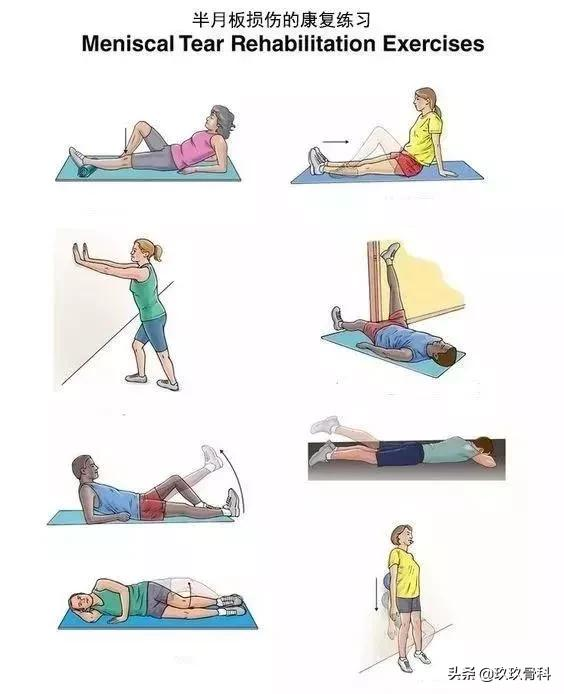 10套頸、肩、背、腰、腿的疼痛康復練習序列