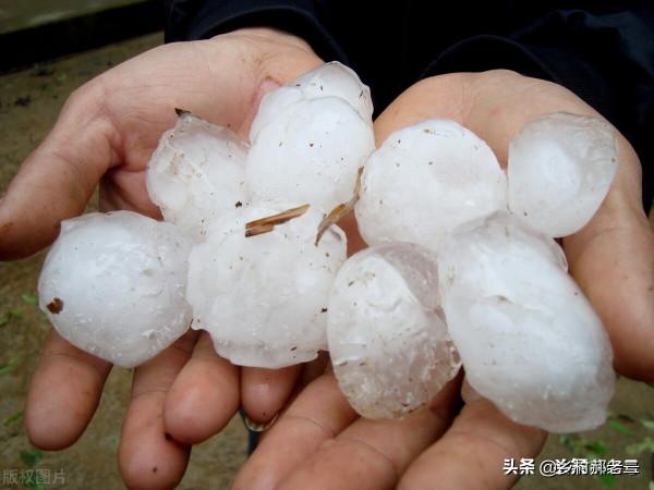 農業保險怎麼理賠，理賠標準是什麼？