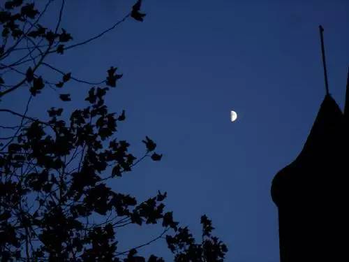 她一輩子沒有再嫁人，獨自拉扯兩個孩子，這個女人不容易