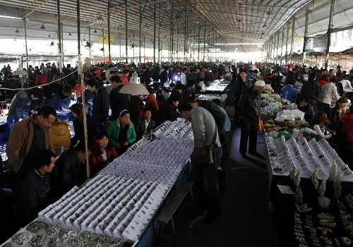 為什麼說玉不過手，金不離目？