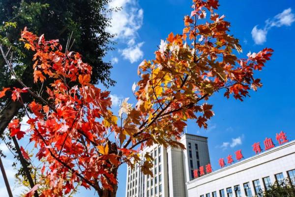 南疆光影 | 看！秋季的軍營美如畫