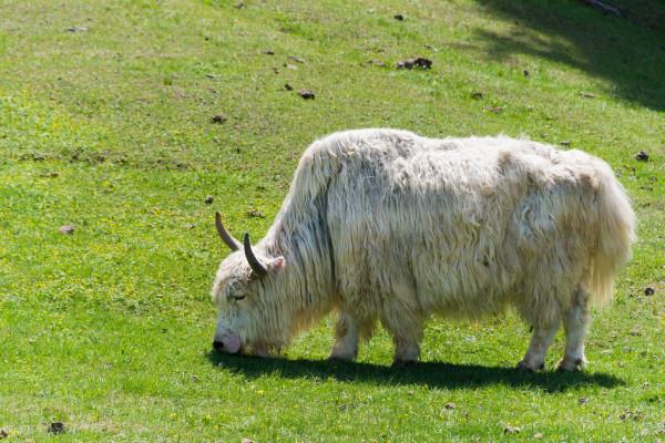 新疆太美了 新疆太美了