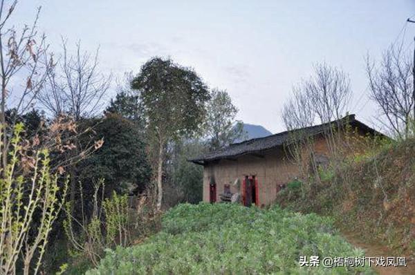 租民房稱是養龍蝦,一個月後發現房下有10米深洞,通向院外的古墓 租民房稱是養龍蝦,一個月後發現房下有10米深洞,通向院外的古墓